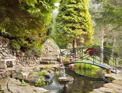 爱丁堡的这个“秘密花园”，保证你没有去过